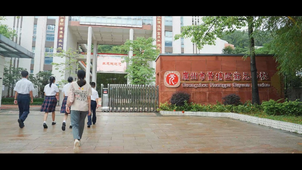 《元启新篇》